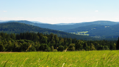 Šumava